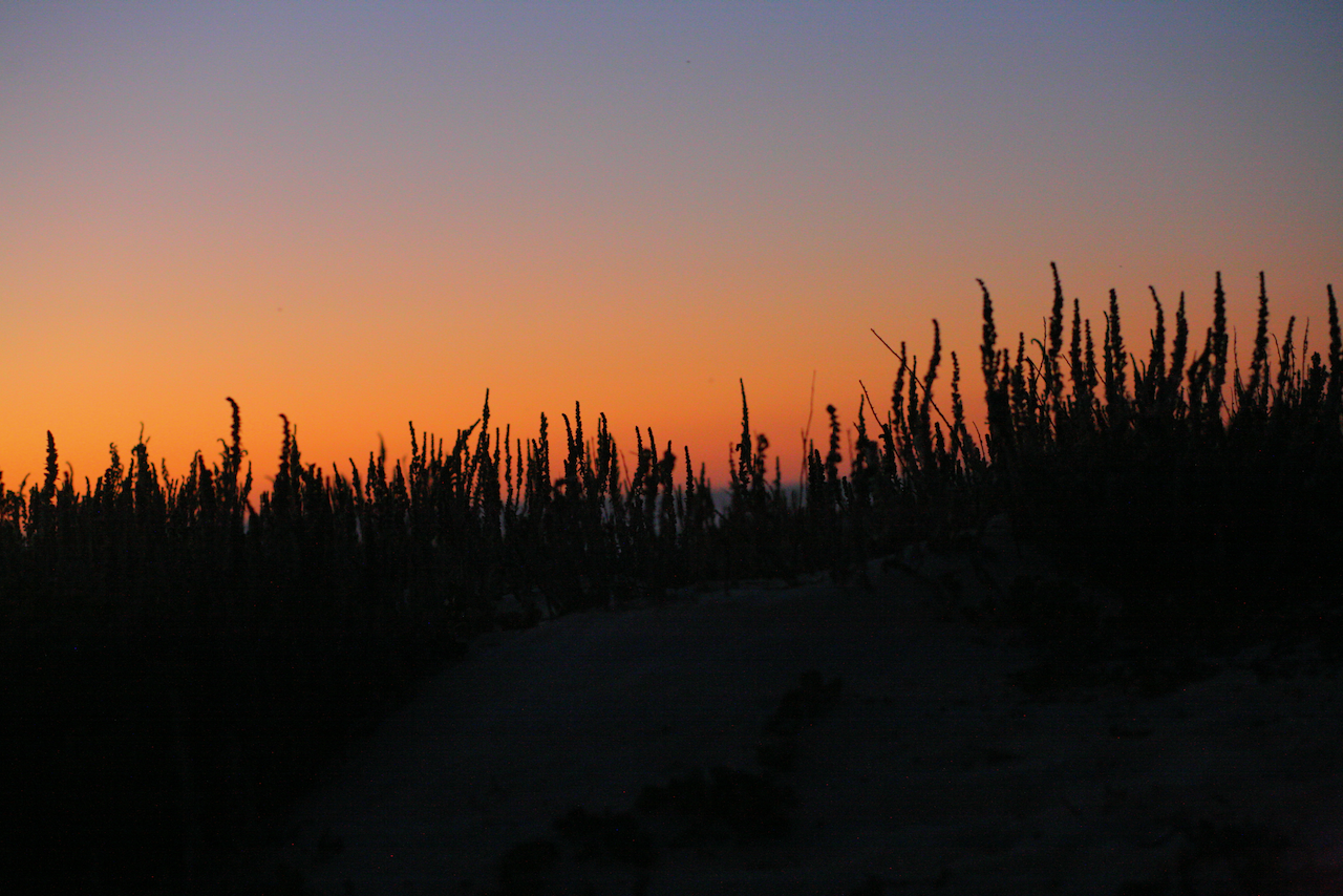 Sunset Dune